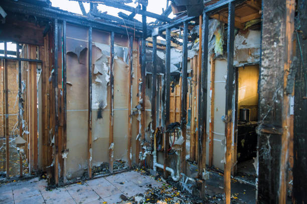 Professional Smoke Damage Removal technician working in Richardson, TX